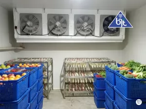 Jual cold room di Indonesia